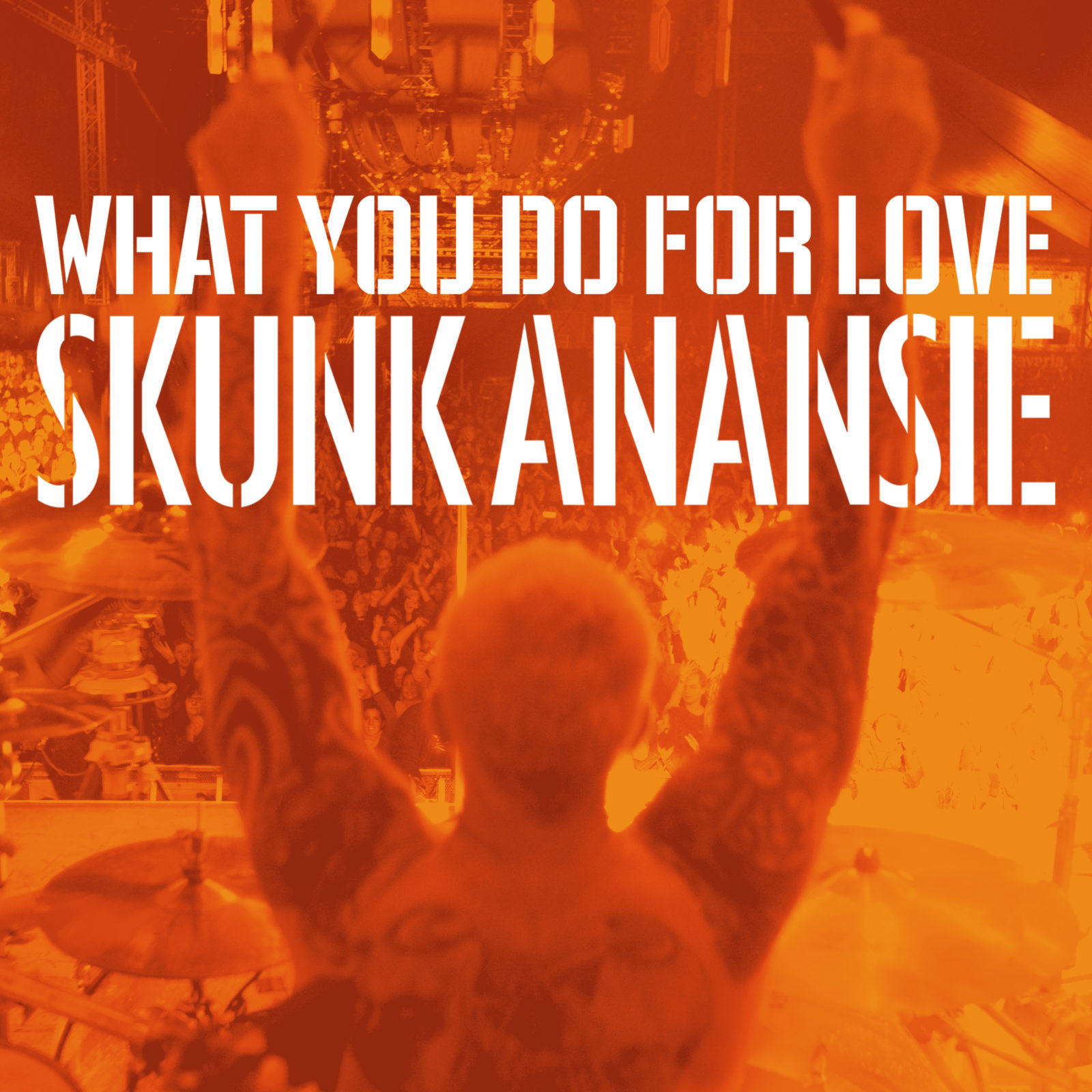 Skunk Anansie - What you do for love