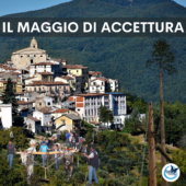 Il Maggio di Accettura